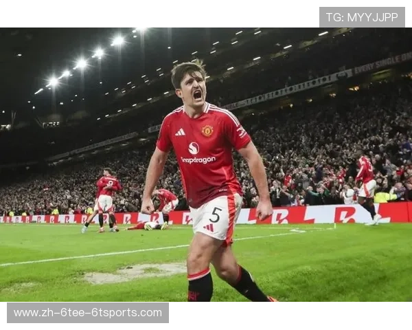 本赛季英超参赛球队总数及新增球队背景介绍